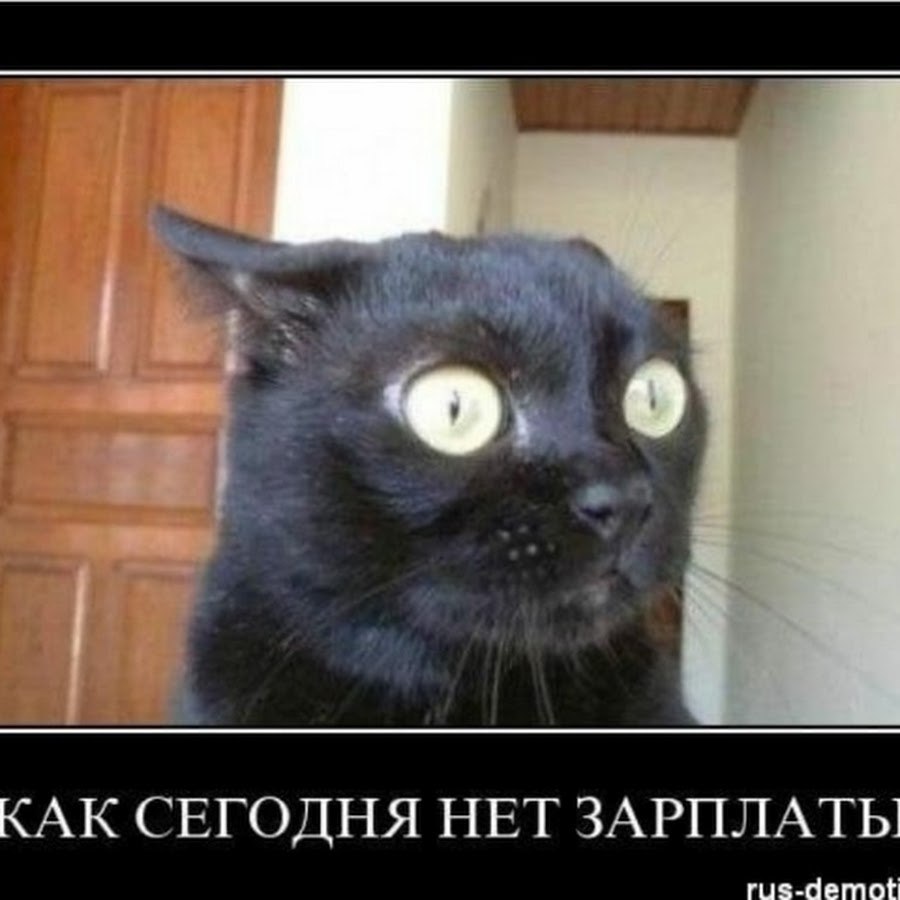 Masturbation While Parents Can ' (74 photos)