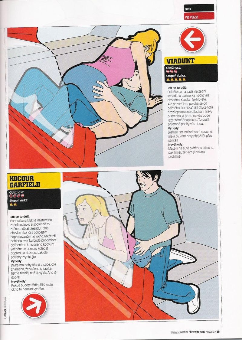 Erotic poses in the car