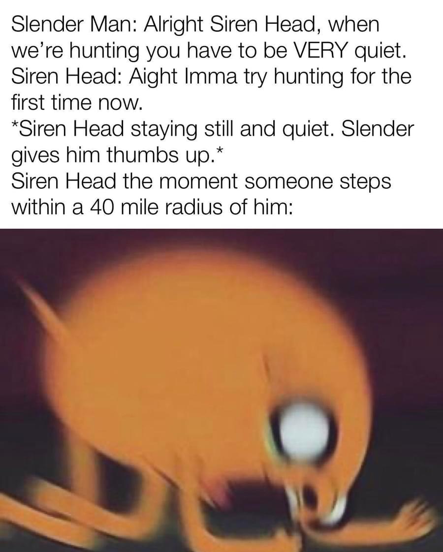 Man protects the cat