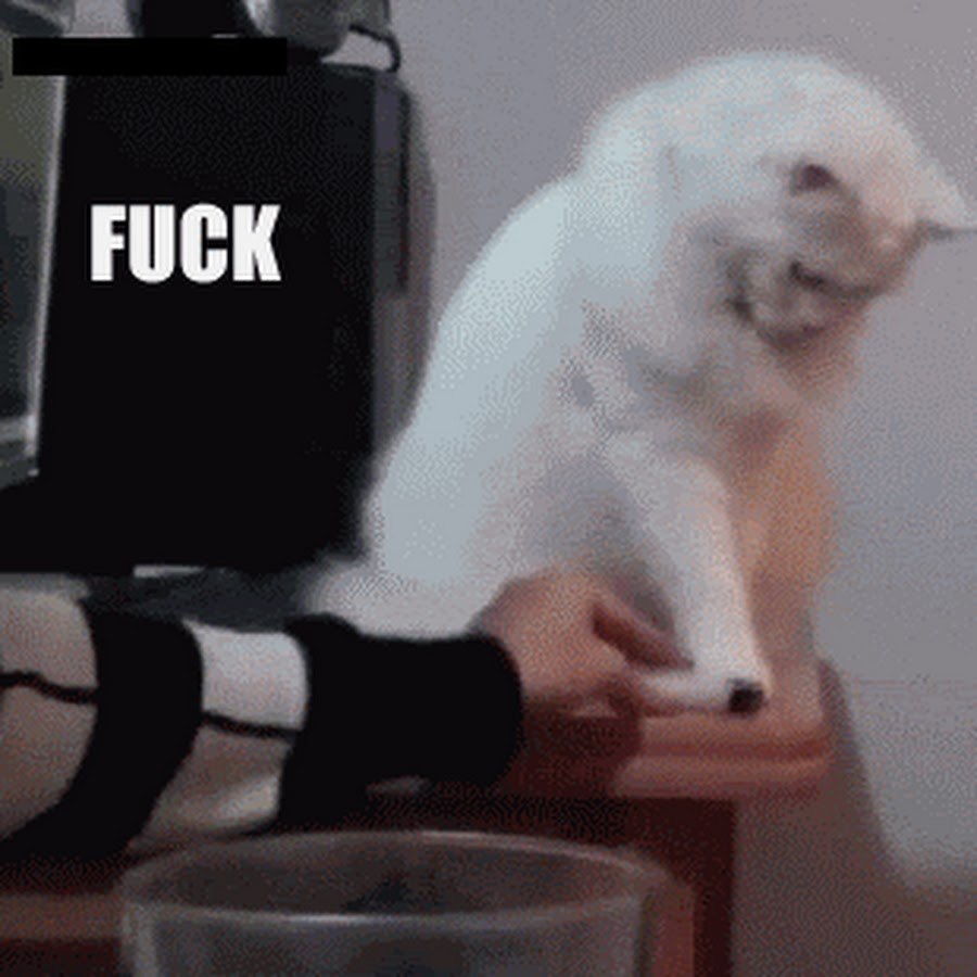 Crusader Mem Deus Vult