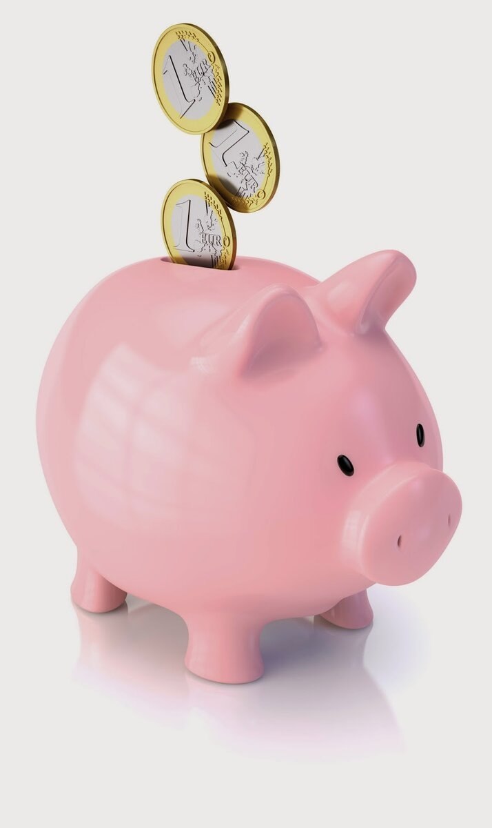 Separate family budget