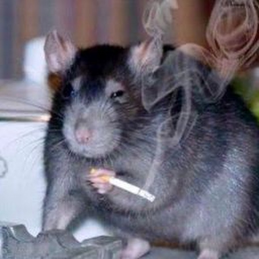 Guys fuck naked guys