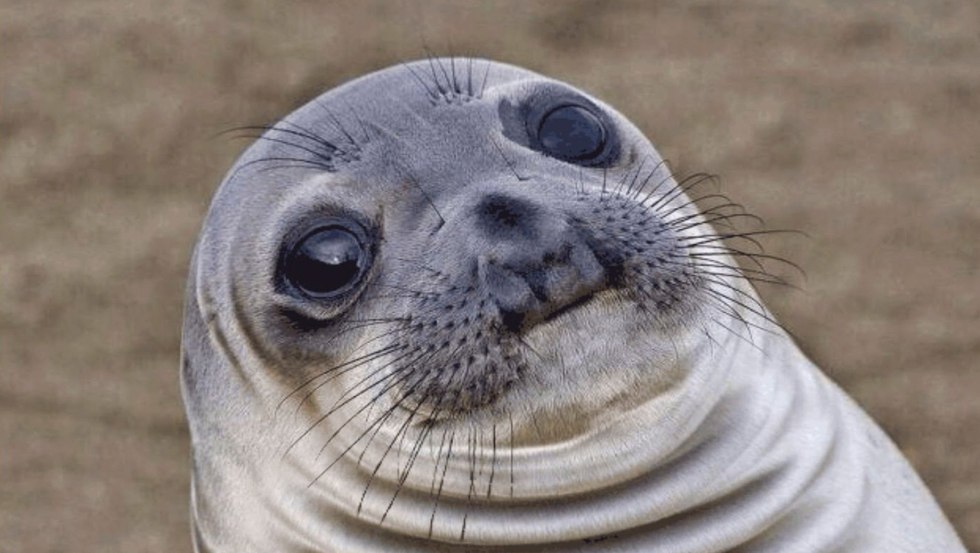 I'm too lazy I'm a seal