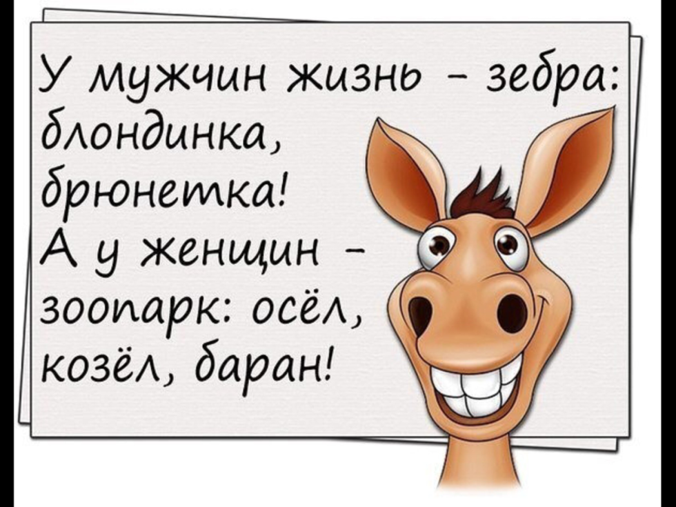 Jokes about life funny