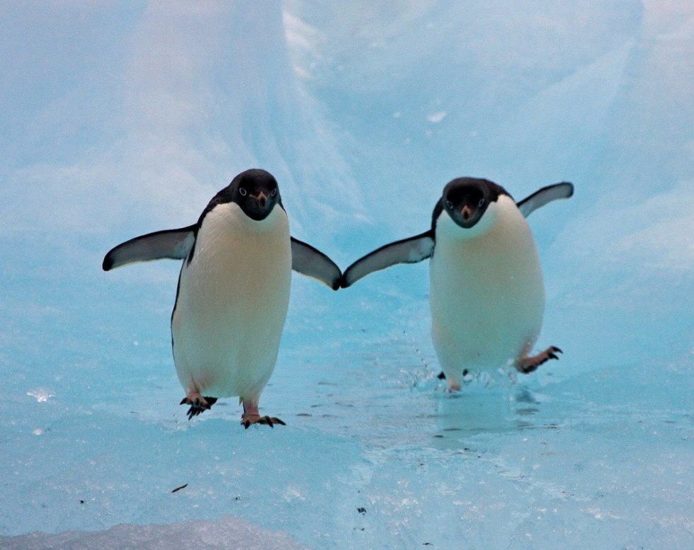 A joke about friendship between a man and a woman