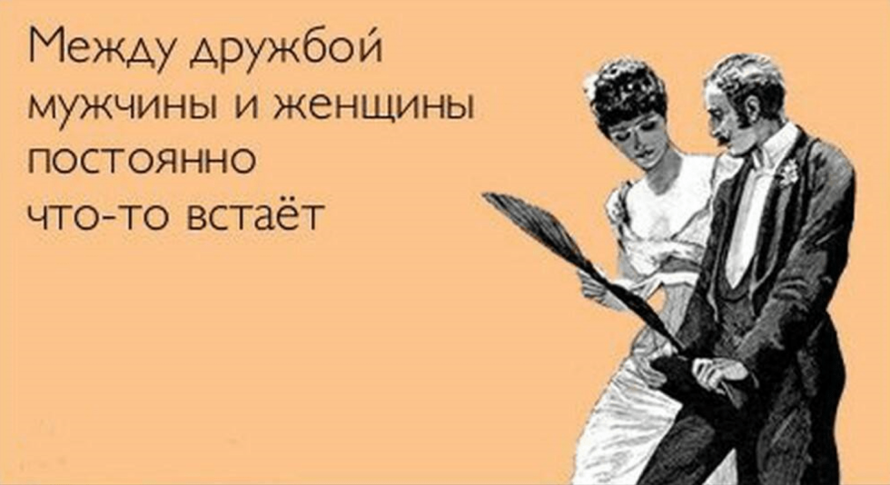 Satisfied client quotes