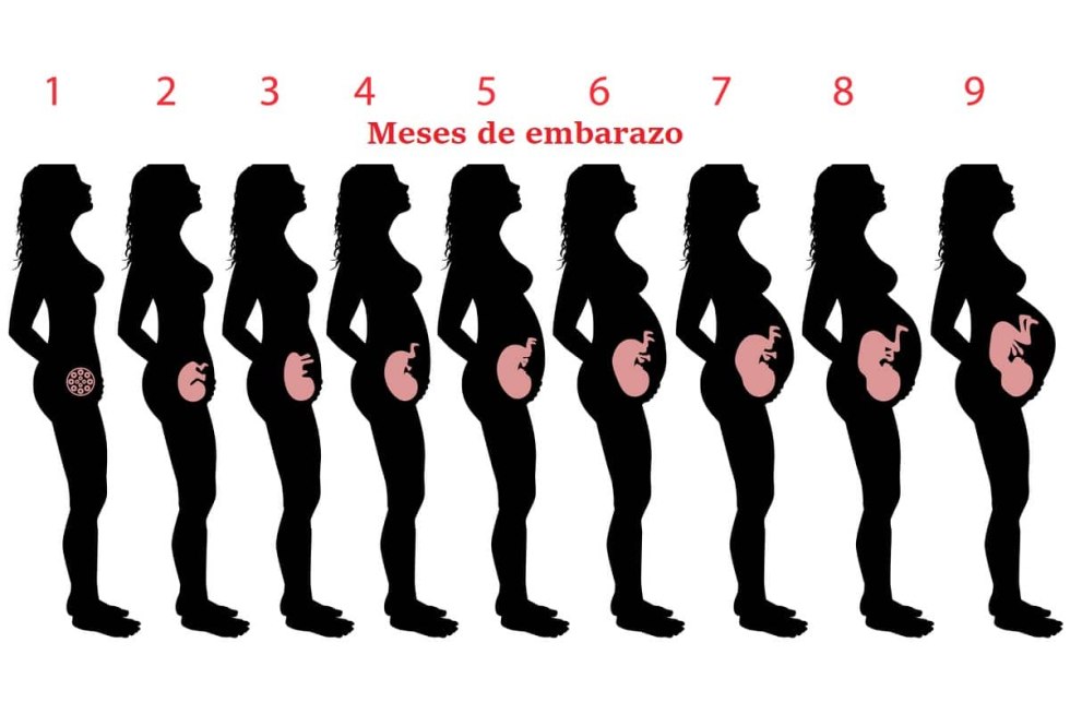 Black white drawings of girls