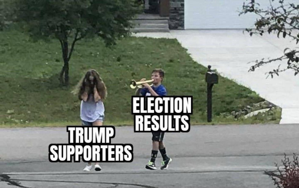 German language der das die