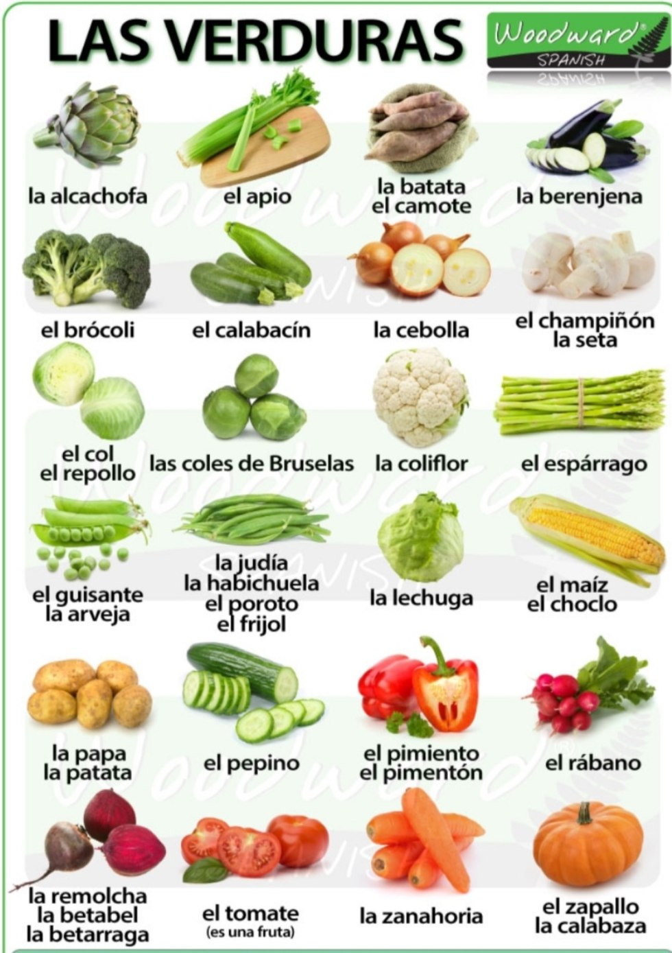 Mature women perverts