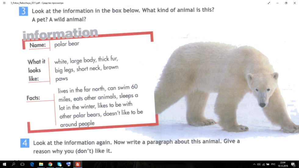 Choose the right option and circle it