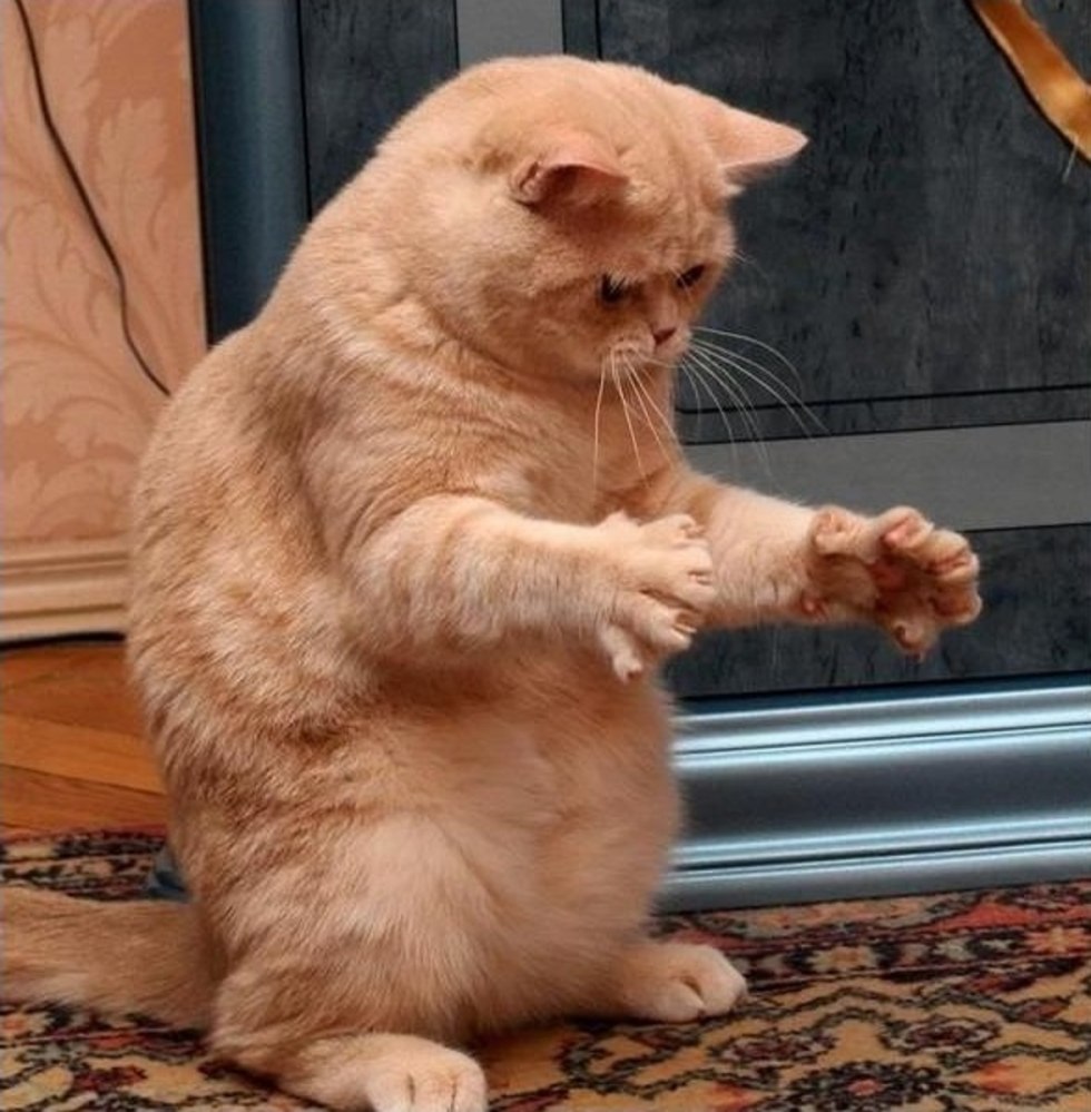 A postcard is so much happiness