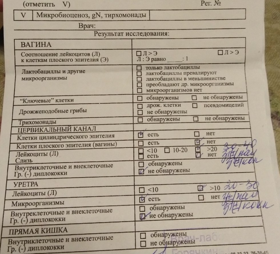 Lermontov Portrait of Zabolotsky