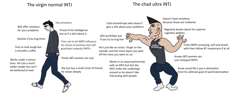 Intj memes