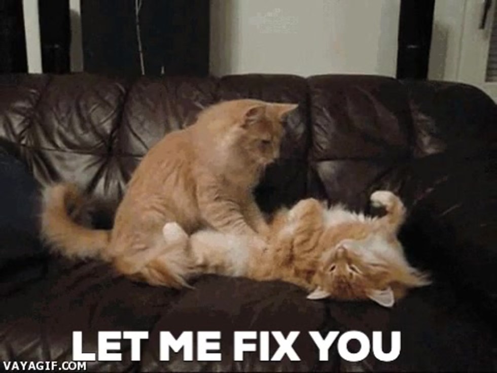 Jokes on You i'm Into that