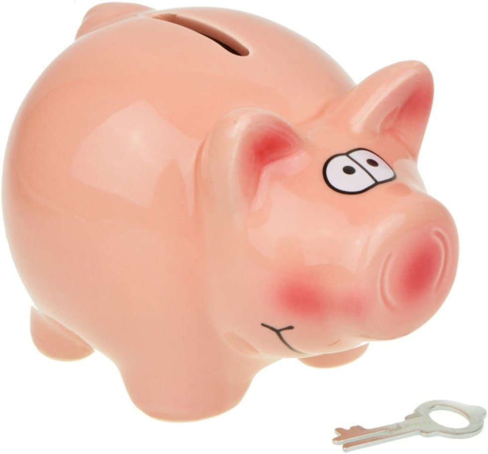 The piggy bank is purple