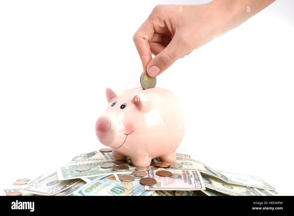 Pig Pigipille financial literacy