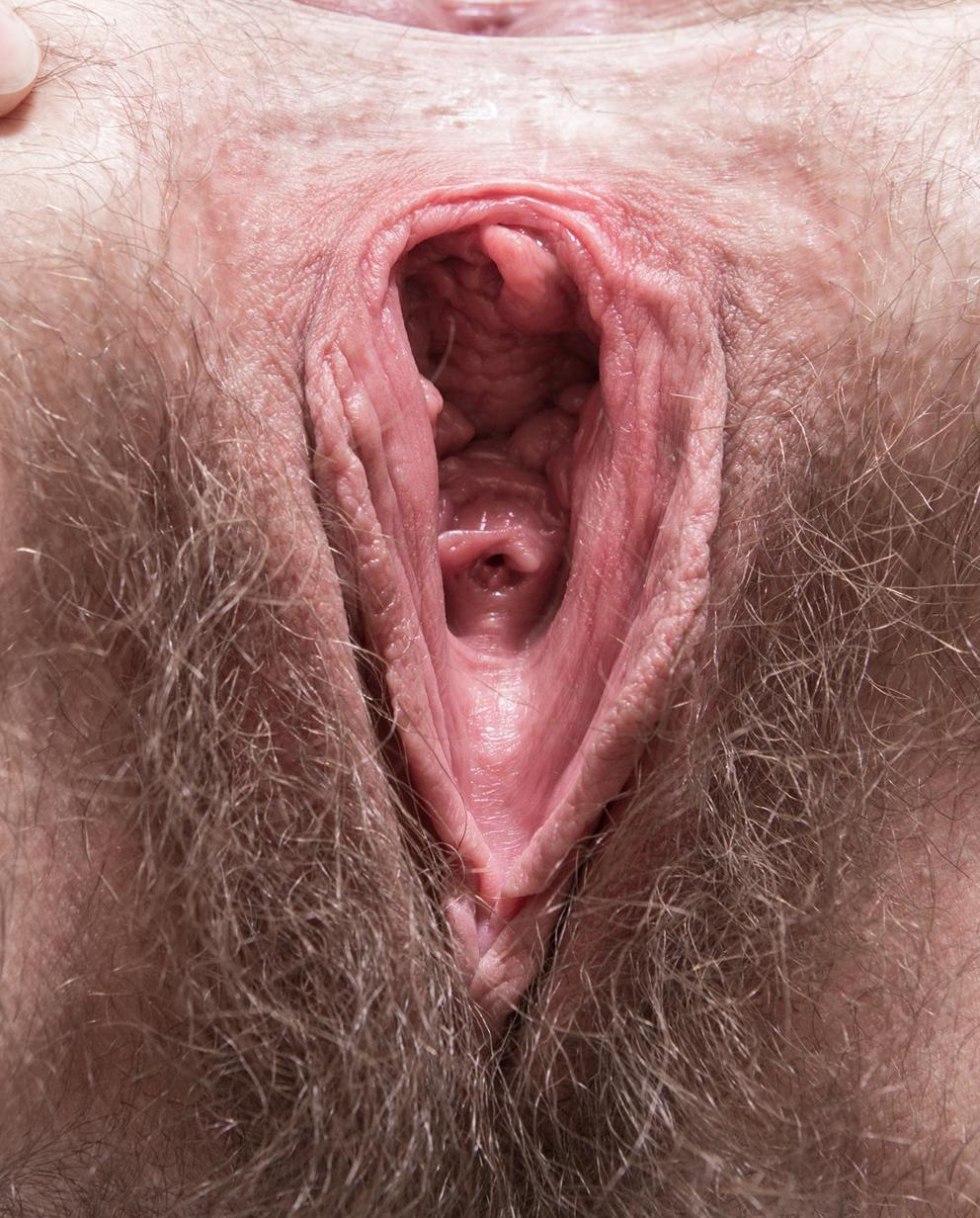 Big hairy vagina