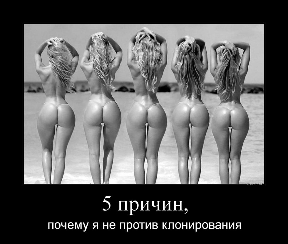 Ero jokes demotivators