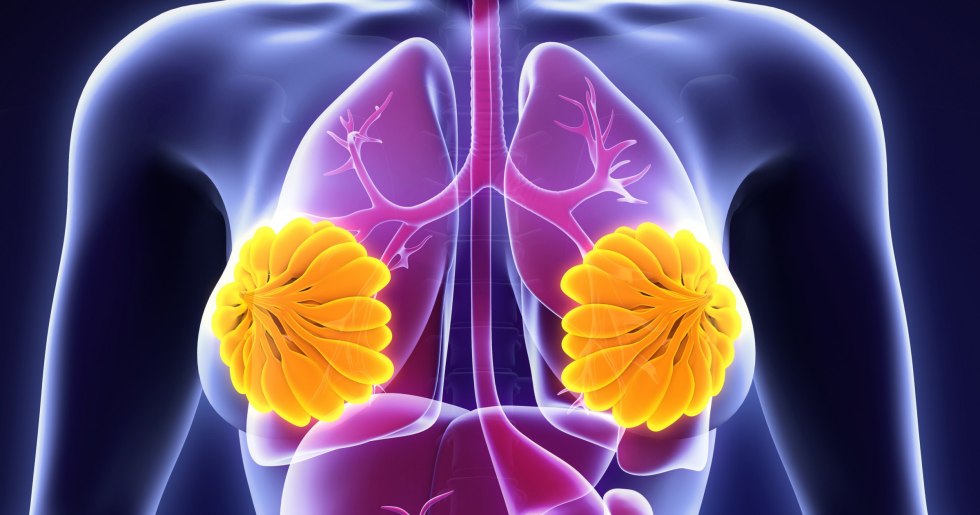 Emily Browning Sleeping Beauty