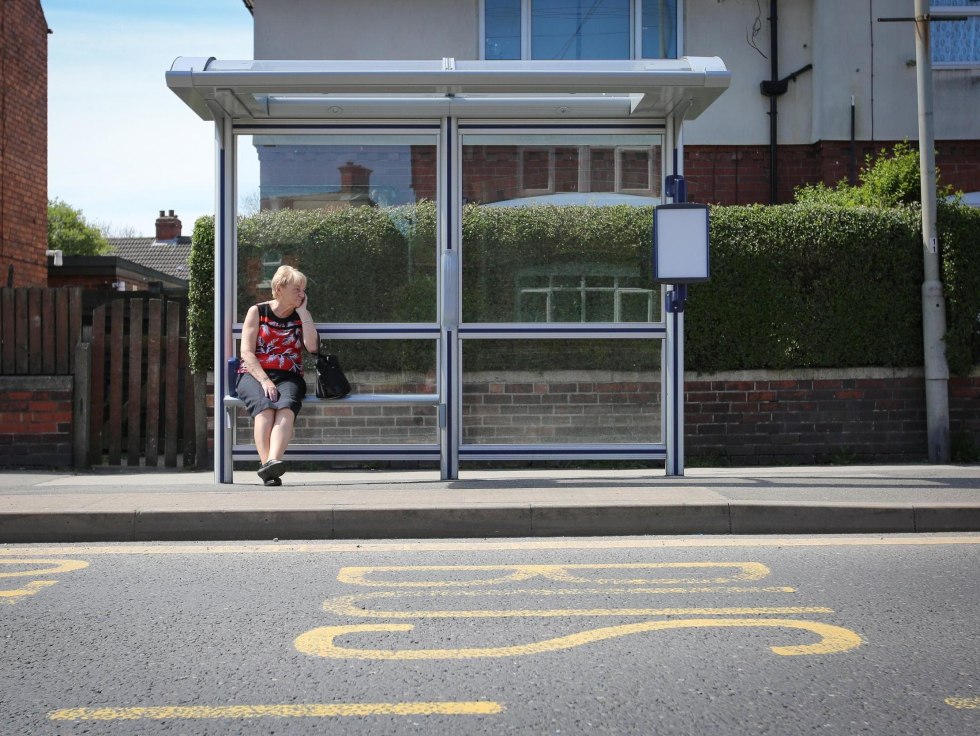 Lan Zhang and Jiang Cheng