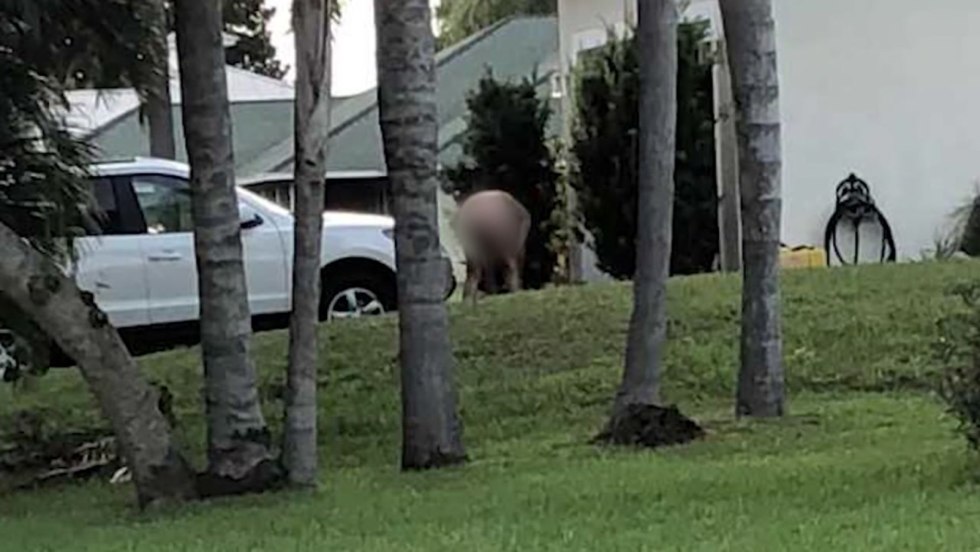 Katana Combat XXX and Markus Dupree