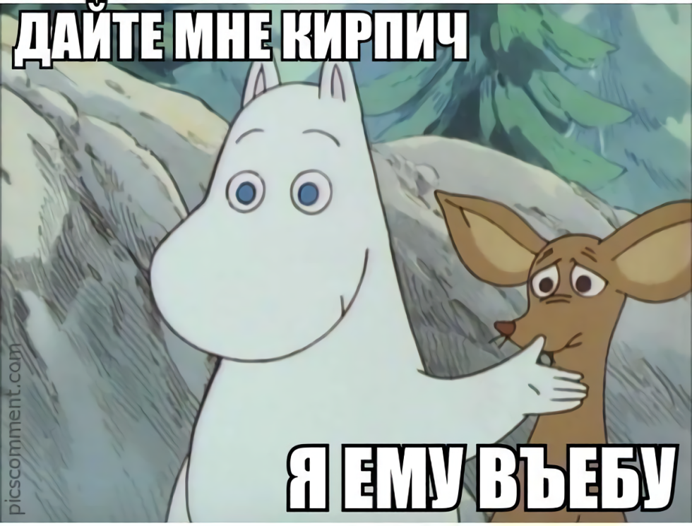 Summary of the developer