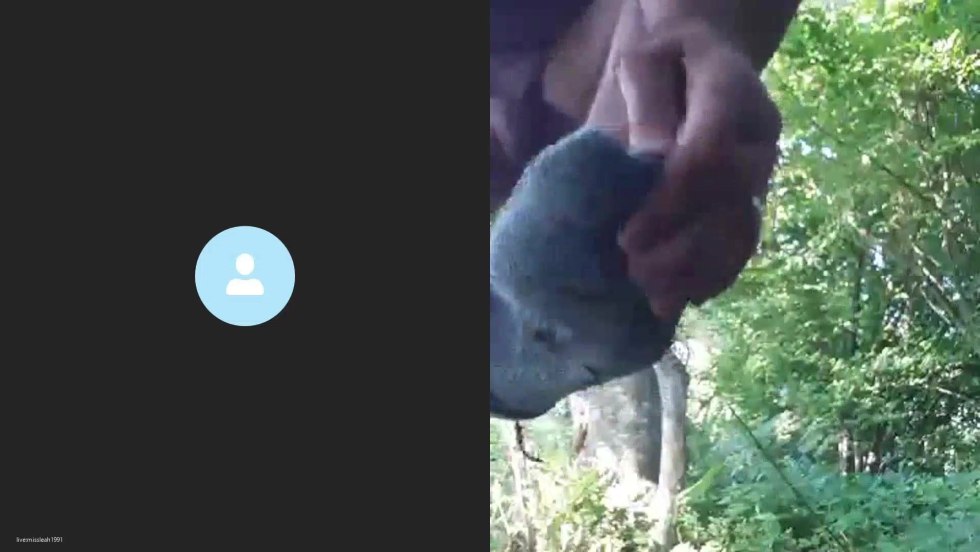 Amateur anal in nature