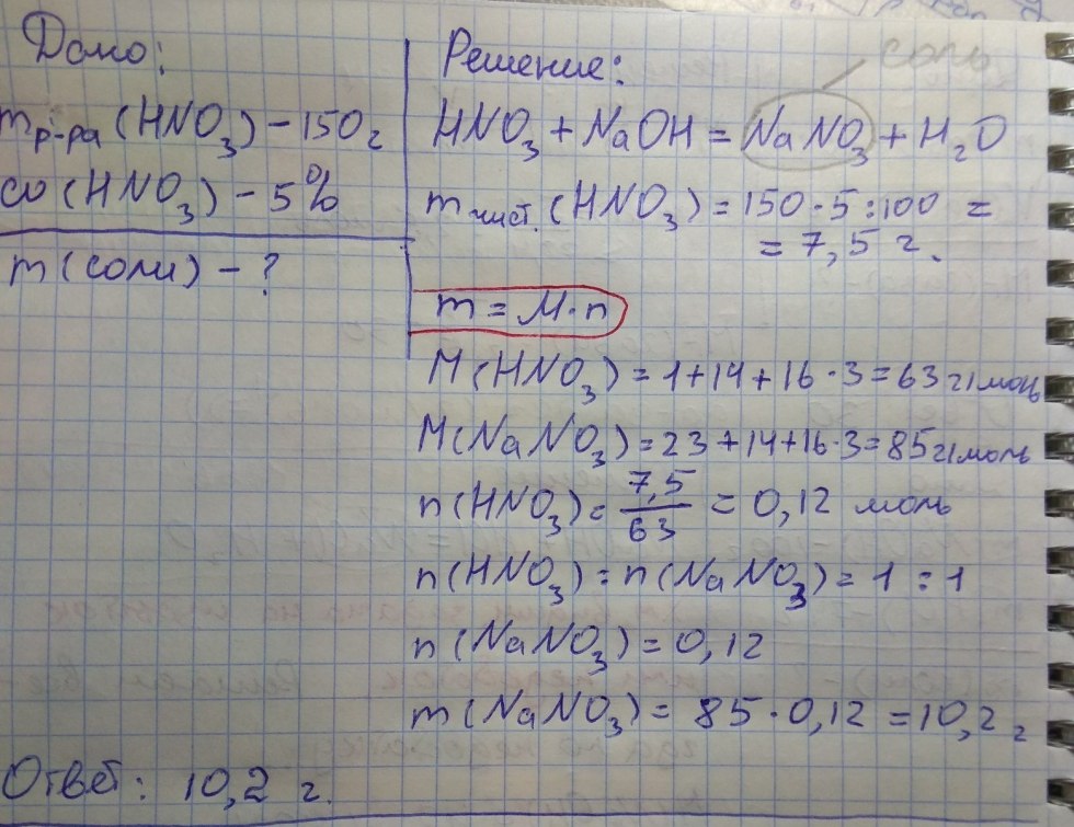 Companions of Genshin