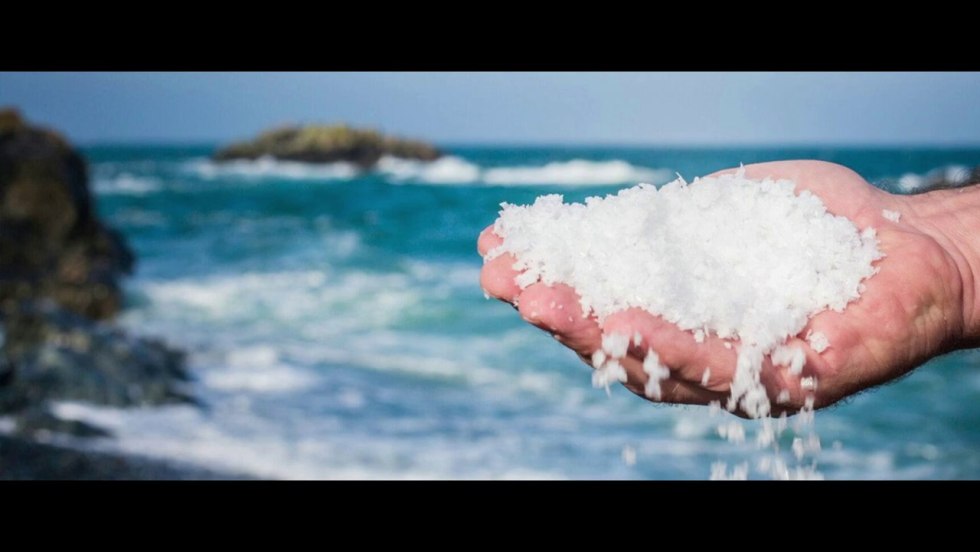 Fat anime chan Better with Salt