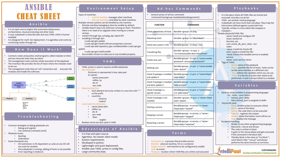 Darkest Dungeon Grave Robber Psychosis