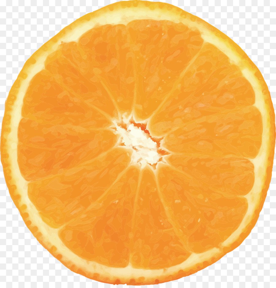 Orange in section