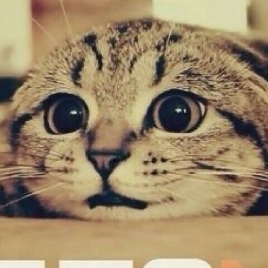 The legendary Vika Novocherkasskaya