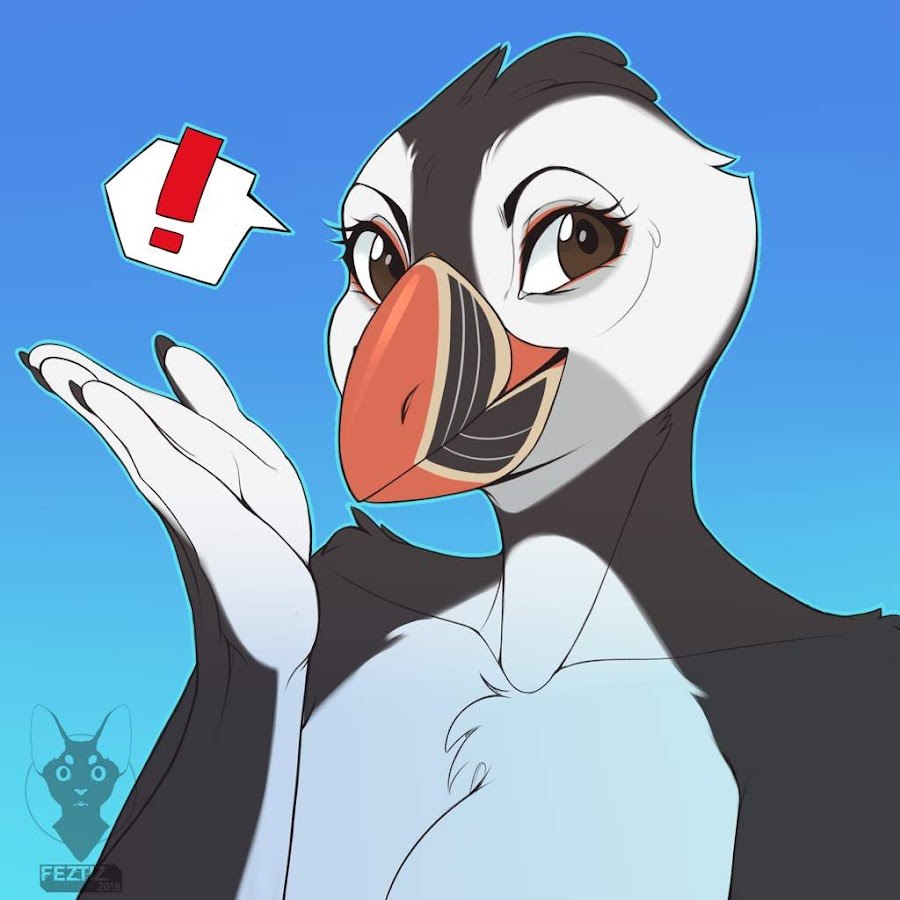 Puffin bird
