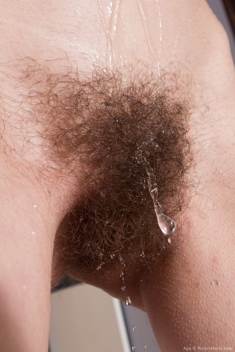 The most hairy female pubis