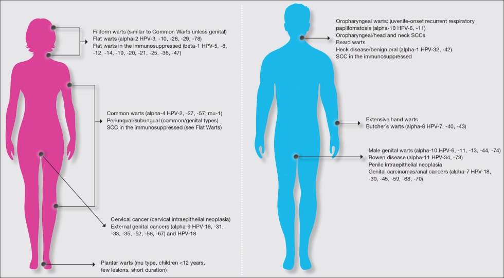 Naked sleeping Russian women