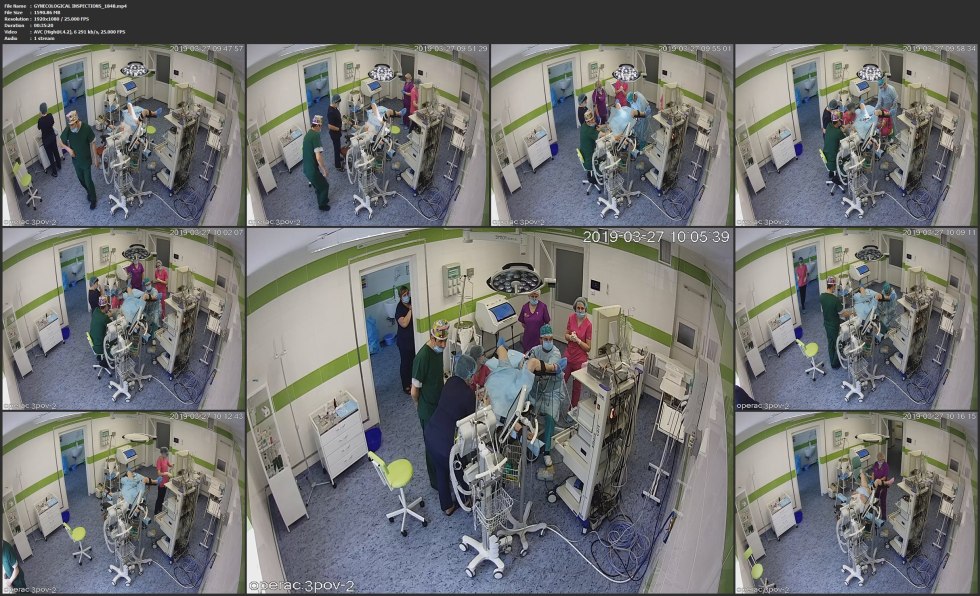 Katarina Petrov Choplyptor