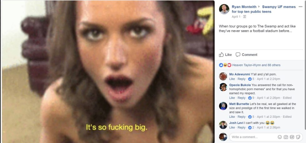 Diamond Fox Missy Martinez