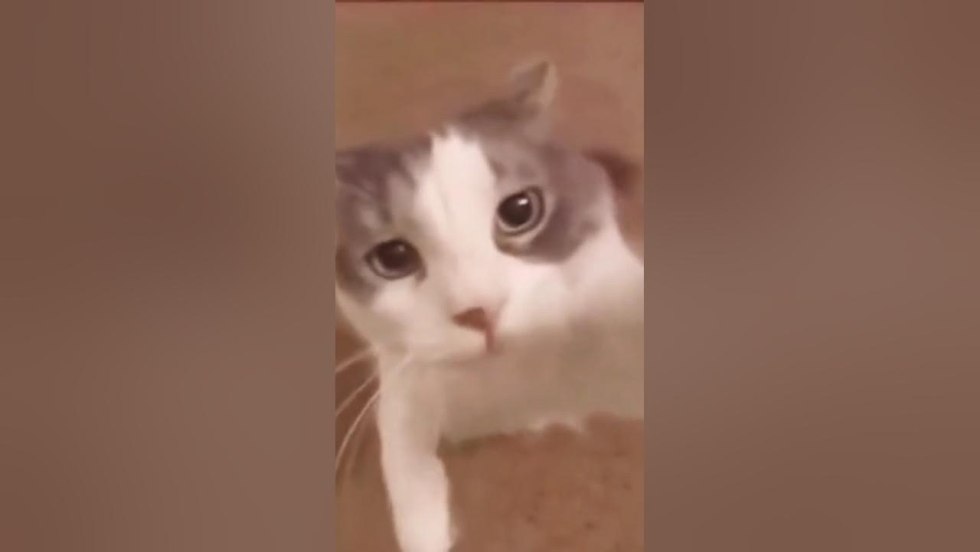 Shadow of minimalism