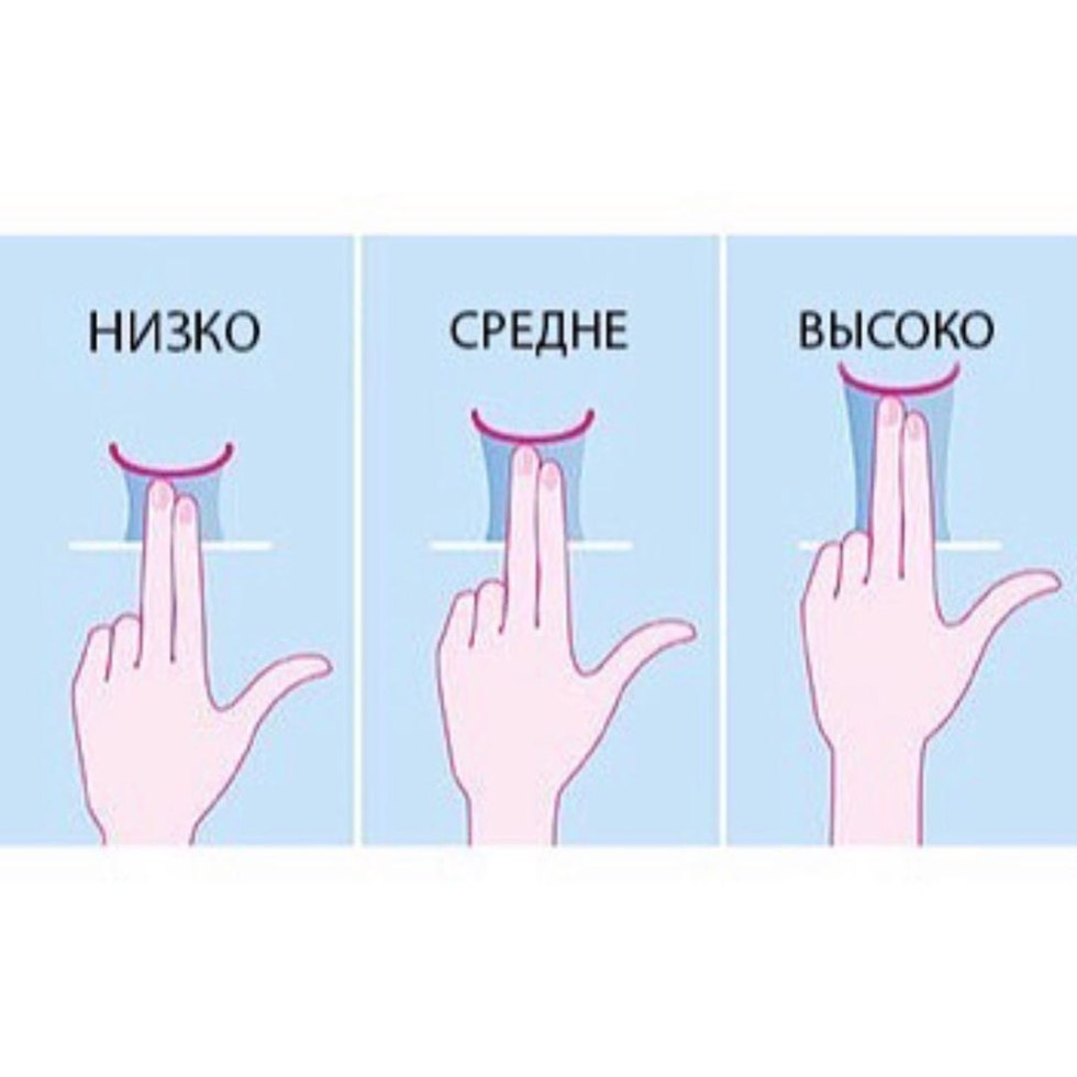 The length of the vagina