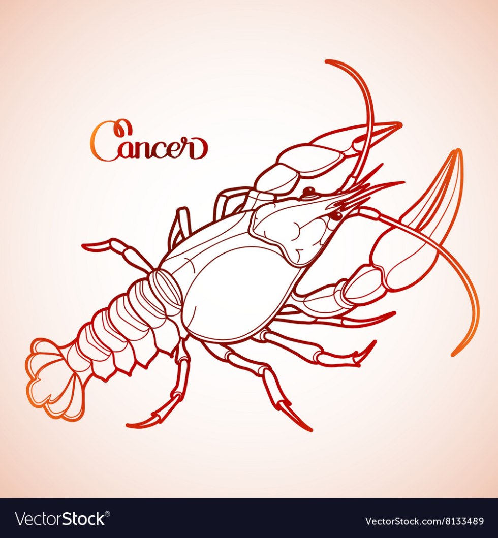 A piece of pizza from above