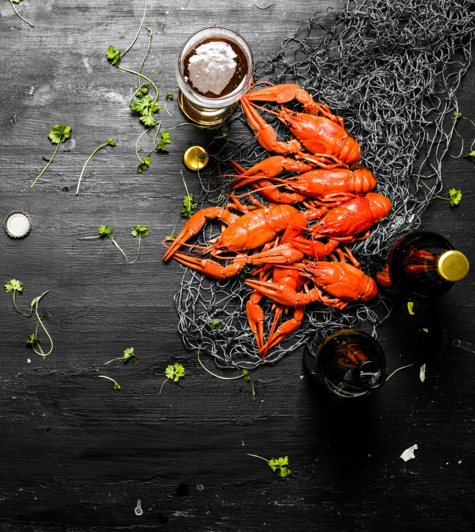 Black shrimp on a black background