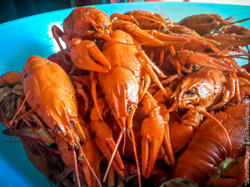 A man fries a barbecue