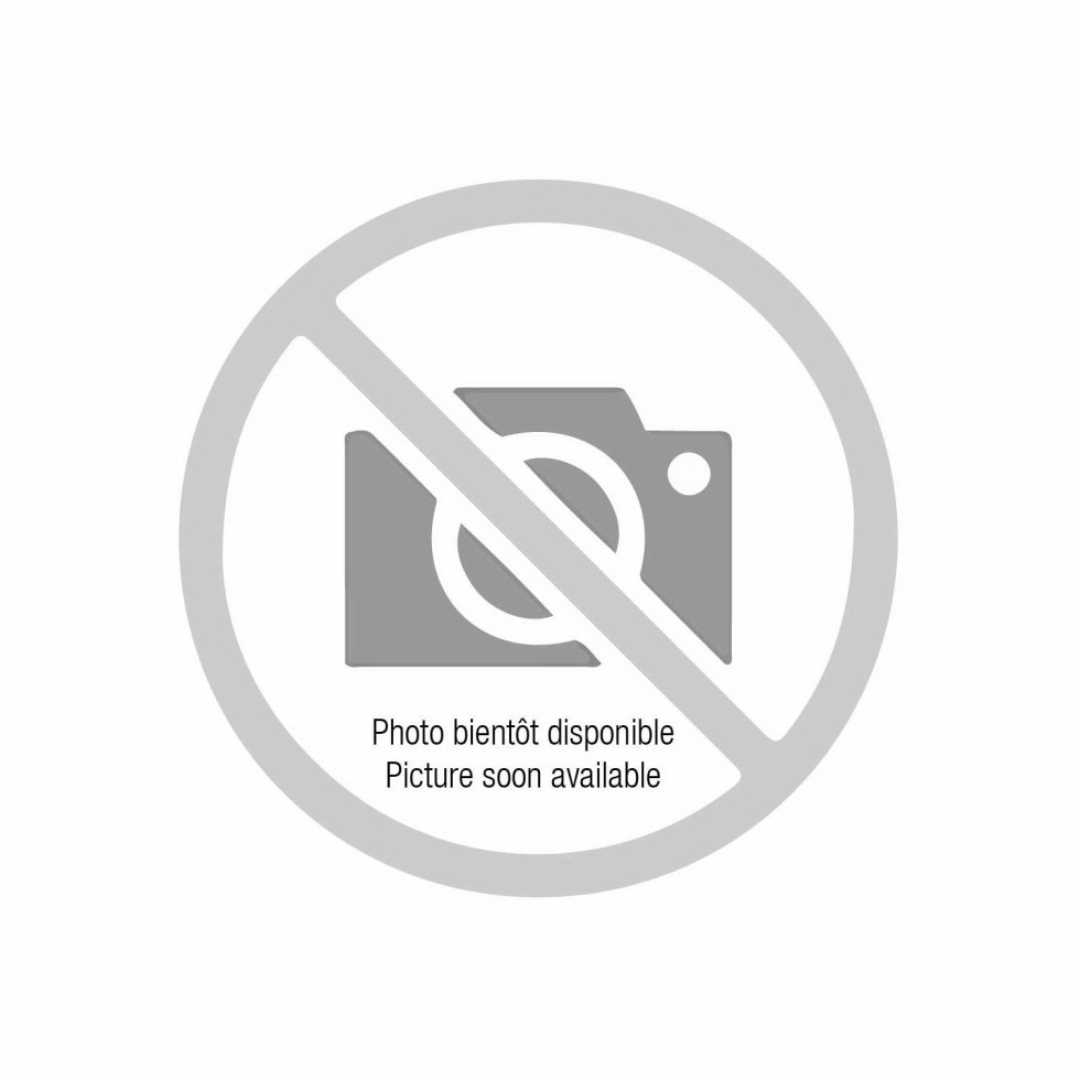 Porn films Musical group