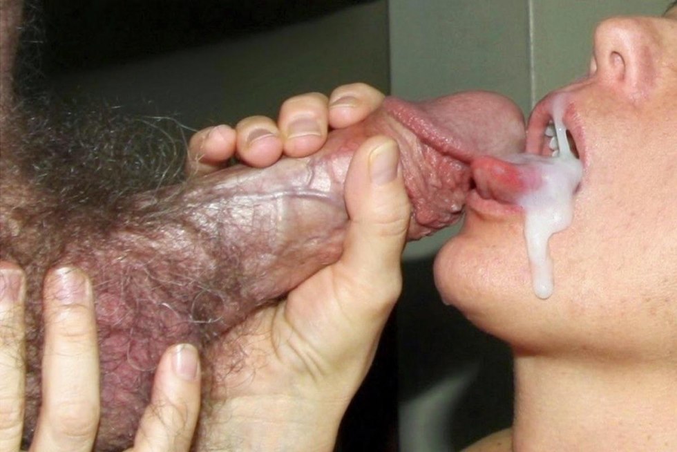 Hairy, guys, gays, cum in mouth