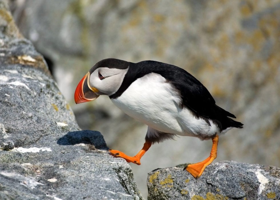 Nancy Hernandez Onlyfans