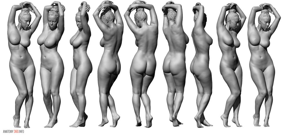 Naked body of an anatomy woman