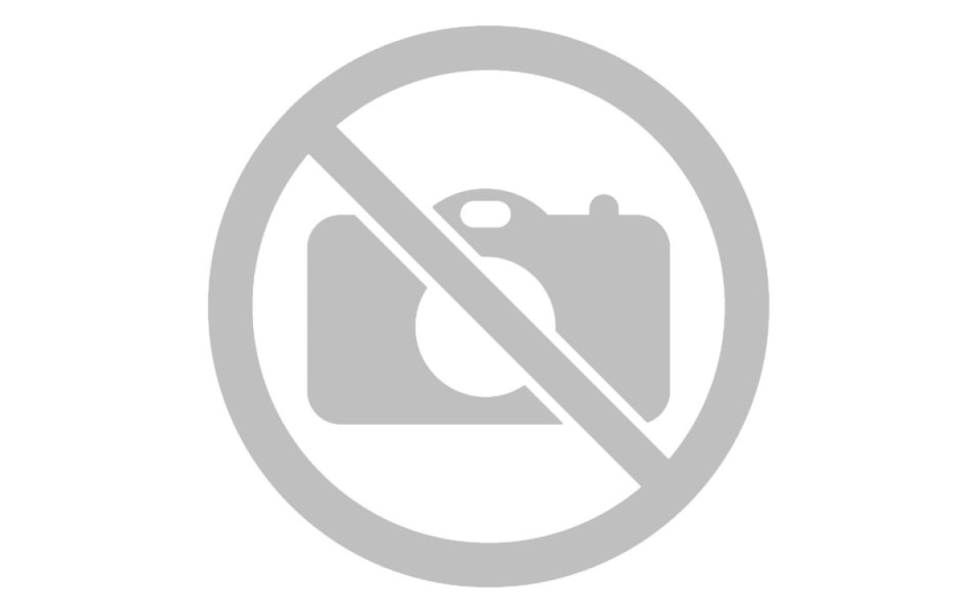 Anna Kovalchuk Fake2020