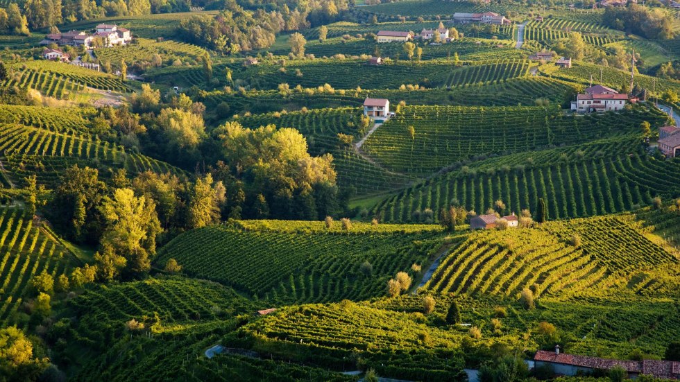 Beautiful bed scenes