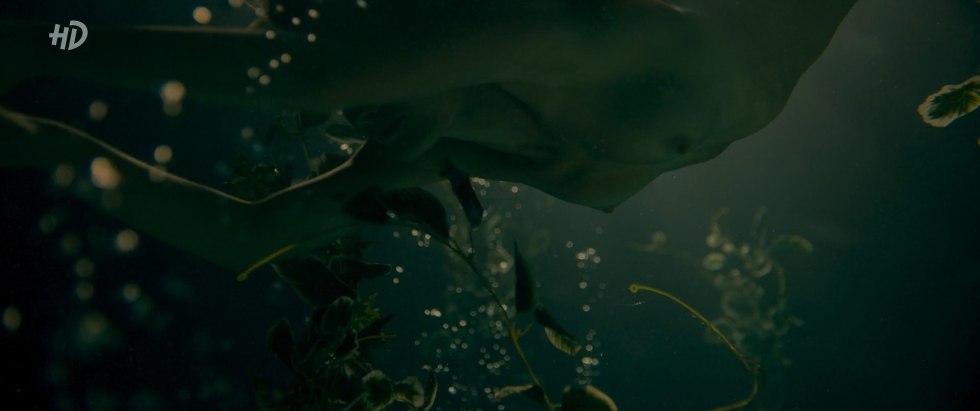 Angelina Strechin is naked