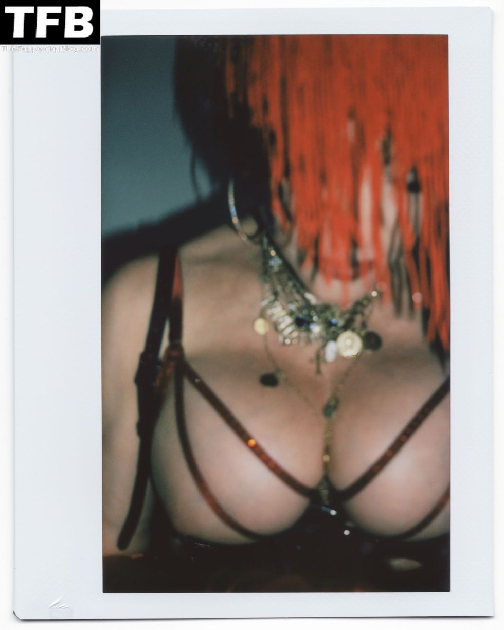 Madonna singer Topless